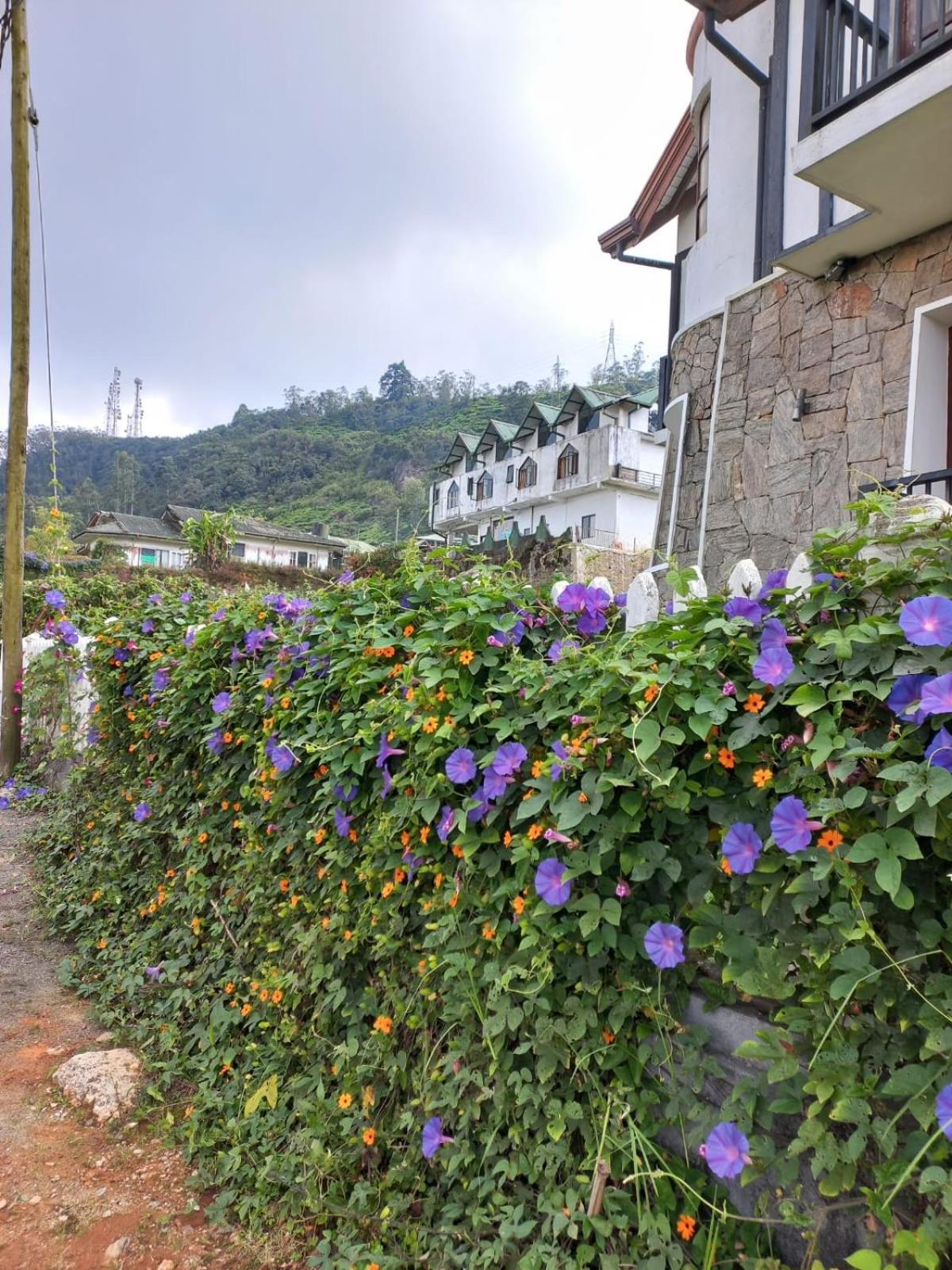 Villa De Roshe Nuwara Eliya Exterior photo